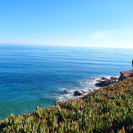 Apartamento Junto Al Mar レス・カセス・ダルカナール エクステリア 写真